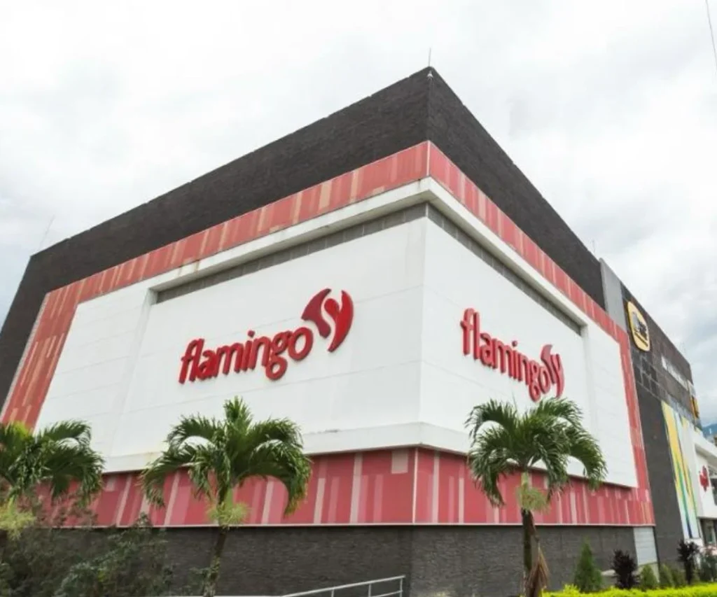 El tablero de Almacenes Flamingo: Entre la validación judicial y la recuperación de la confianza del mercado colombianews.co